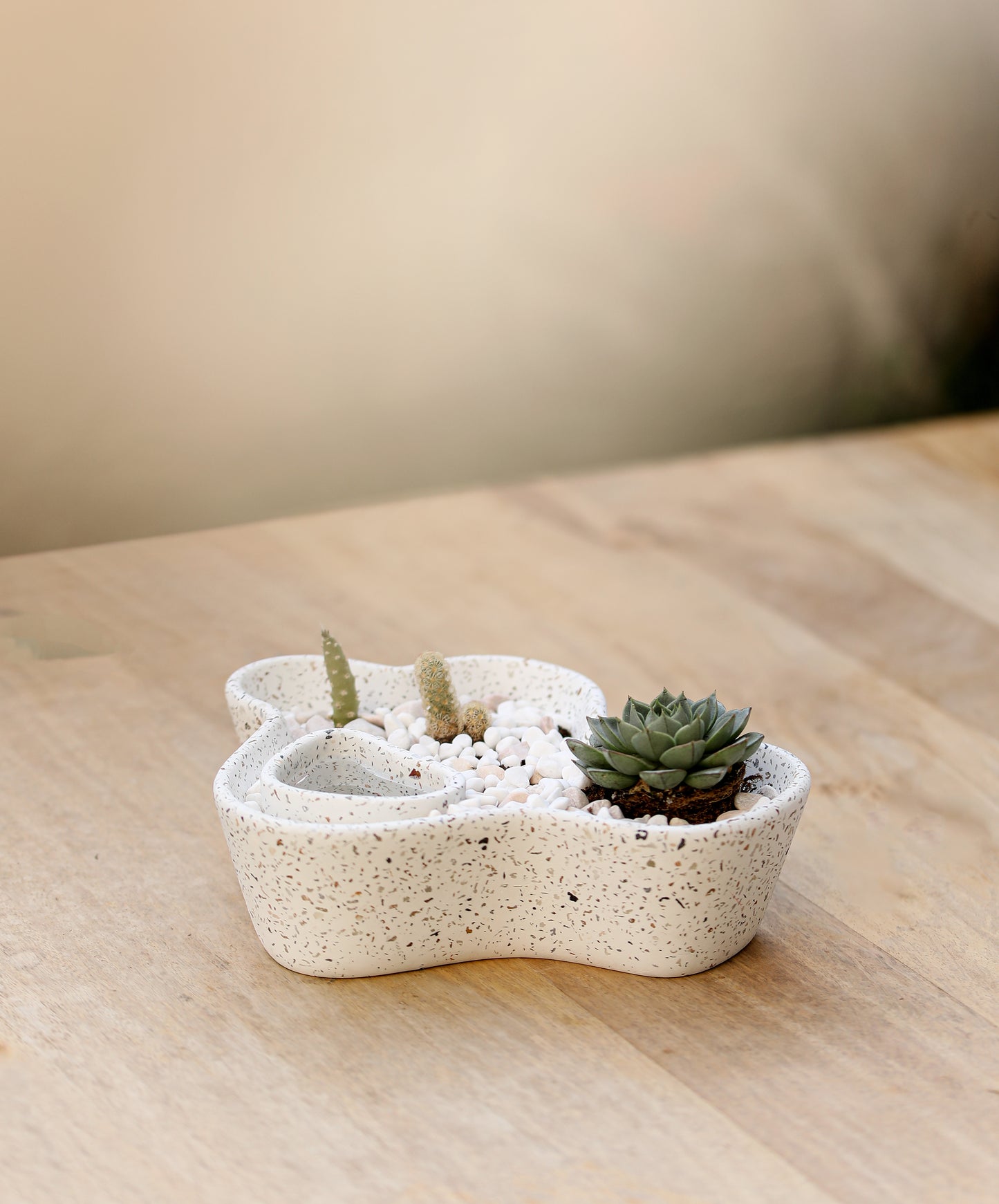 Shamsa Terrazzo Planter